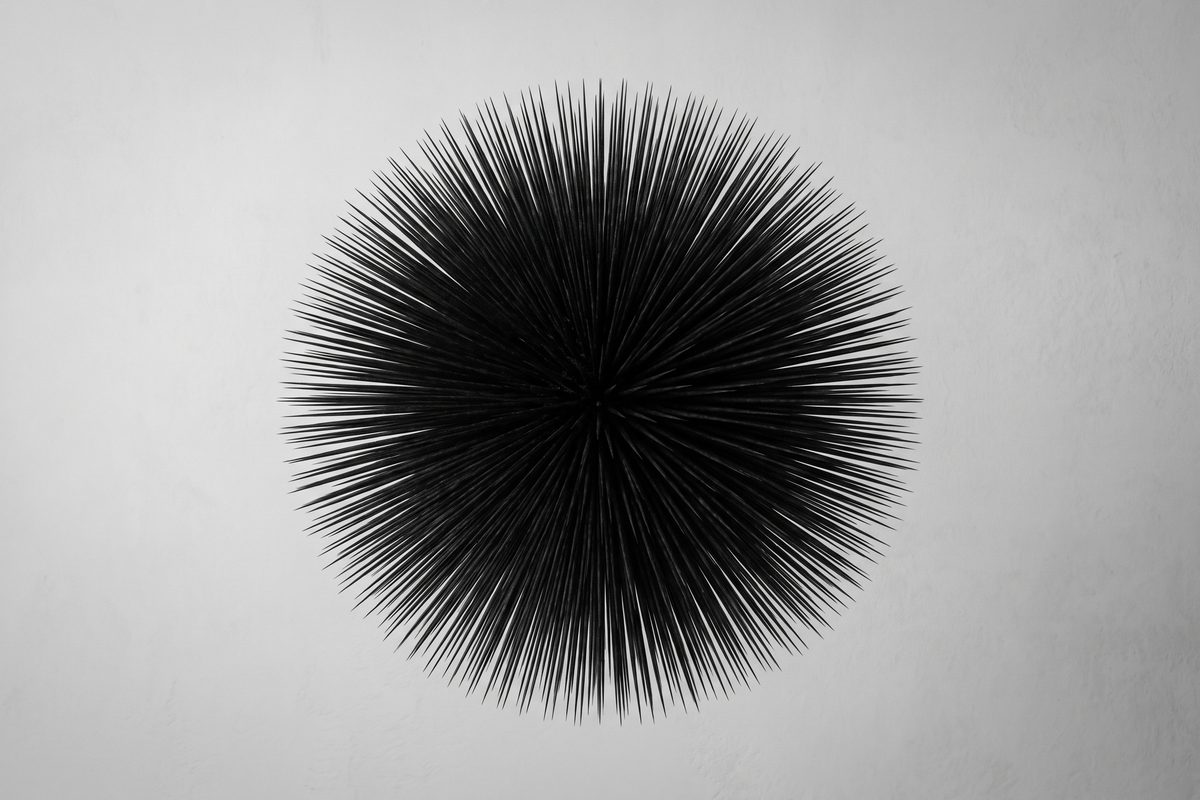 Spiky sea urchin form